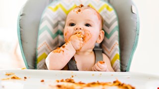 Diet of Weaning Food 斷奶期的飲食