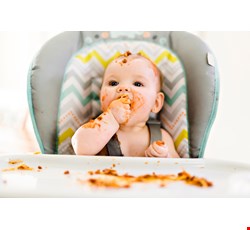 Diet of Weaning Food 斷奶期的飲食