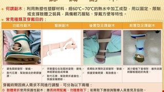 認識副木/5A