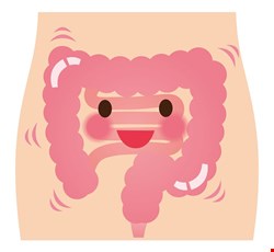 Lower Gastrointestinal Barium Enema Study 下消化道鋇劑攝影術