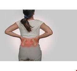 Intravenous Pyelography 靜脈注射腎臟攝影檢查簡介