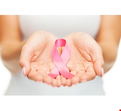 Breast Cancer 乳癌