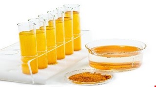 lood Lipid Filtration Technique 血脂肪濾清術