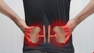 Keeping Your Kidneys Healthy 腎臟的保養建議
