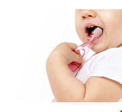 Parental Guide for Children Dental Care 照顧孩子的口腔衛生
