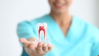 Root Canal Therapy 根管治療