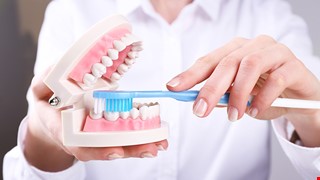 Use Your Removable Dentures Properly 正確使用您的活動假牙