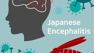 Instructions for Japanese Encephalitis Vaccination 日本腦炎疫苗接種後須知