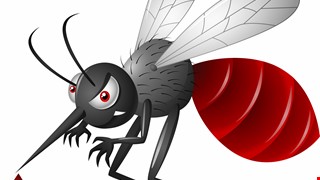 Instructions for Live Attenuated Japanese Encephalitis Vaccination 活性減毒日本腦炎疫苗接種須知