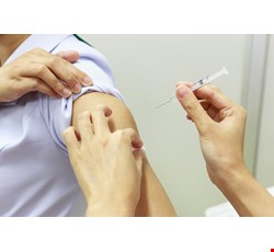 Suggestions and Precautions for Hepatitis A Vaccination A肝疫苗接種建議及注意事項