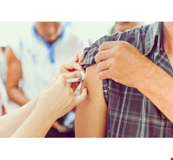 成人日本腦炎疫苗接種建議