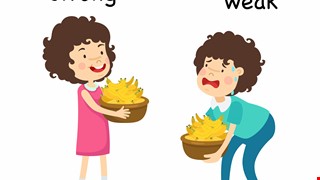 Introduction to Sarcopenia 肌少症簡介