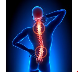 Spinal Cord Injury 脊髓損傷