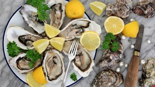 Dietary Principles of Hyperlipidemia 高脂血症飲食
