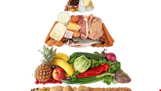 Six Categories of Food 六大類食物