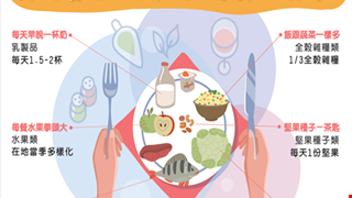My Plate-Smart Eating, Comes Along the Nutrition 我的餐盤~聰明吃，營養跟著來