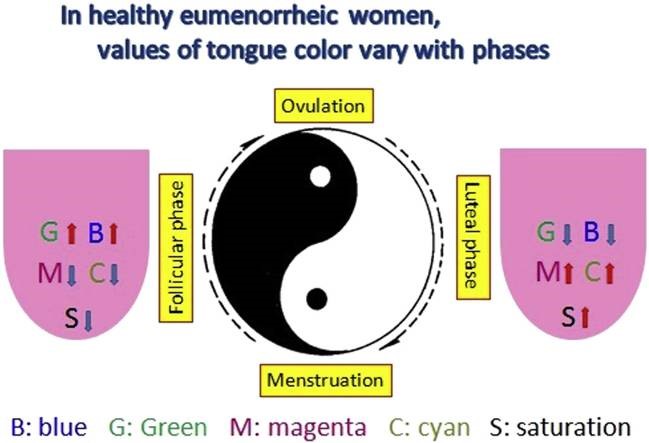 Tongue color changes within a menstrual cycle in eumenorrheic women. | 最新消息 - 中國醫藥大學附設醫院 第 3張圖片