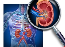 慢性腎臟病的中西醫調理
