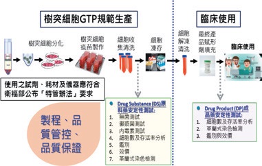 圖2：樹突細胞疫苗的製備、檢驗流程