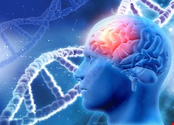 自體免疫細胞治療迎戰惡性腦瘤