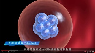 無限可能的起點 細胞治療（幹細胞）- 中國附醫