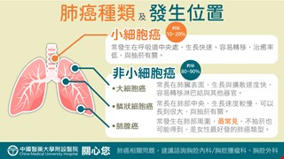 肺癌種類及發生位置-肺癌懶人包3