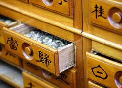 腎臟亮紅燈 中藥忙救援
