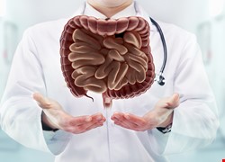 腸道移植/腸道復建：無法進食的短腸症、腸道衰竭最後一線希望