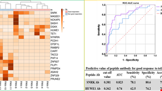 Anti-peptide antibodies, anti-SNRK and anti-HUWE1 antibodies, as potential predictors of good response to tofacitinib therapy in rheumatoid arthritis patients