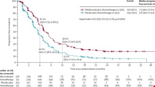 Tislelizumab plus chemotherapy versus placebo plus chemotherapy as first-line treatment for advanced or metastatic oesophageal squamous cell carcinoma (RATIONALE-306): a global, randomised, placebo-controlled, phase 3 study.
