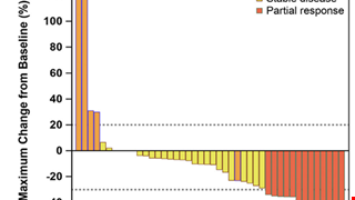 A prospective phase II study of biweekly S-1, leucovorin, and gemcitabine in elderly patients with locally advanced or metastatic pancreatic adenocarcinoma - The Taiwan Cooperative Oncology Group T1217 study