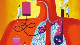 Nivolumab plus chemotherapy versus placebo plus chemotherapy in patients with HER2-negative, untreated, unresectable advanced or recurrent gastric or gastro-oesophageal junction cancer (ATTRACTION-4): a randomised, multicentre, double-blind, placebo-controlled, phase 3 trial