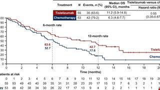 RATIONALE-302 Investigators. Tislelizumab Versus Chemotherapy as Second-Line Treatment for Advanced or Metastatic Esophageal Squamous Cell Carcinoma (RATIONALE-302): A Randomized Phase III Study.