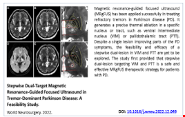 Stepwise dual‐target magnetic resonance‐guided focused ultrasound in tremor‐dominant Parkinson disease: One‐year follow‐up