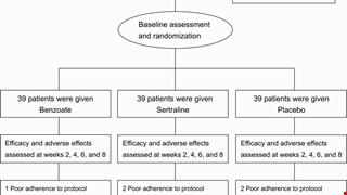Effects of Sodium Benzoate, a D-Amino Acid Oxidase Inhibitor, on Perceived Stress and Cognitive Function Among Patients With Late-Life Depression: A Randomized, Double-Blind, Sertraline- and Placebo-Controlled Trial