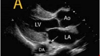『Practice Guidelines』2024 Recommendations for the Diagnostic Requirements in Routine Practices of Transthoracic Echocardiography