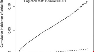 Risk of incident atrial fibrillation after a prior critical illness: A retrospective cohort study