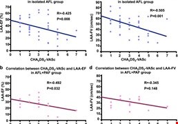 Inverse Correlation Between Left Atrial Appendage Function and CHA2DS2-VASc Score in Patients with Atrial Flutter