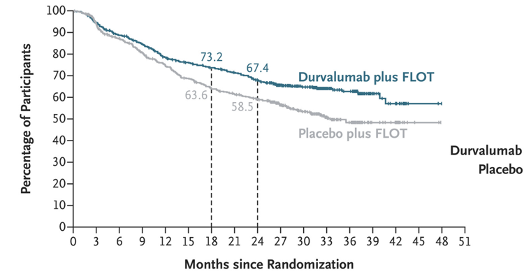 Perioperative Durvalumab in Gastric and Gastroesophageal Junction Cancer img
