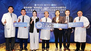 基因修飾「精準遞送」BDNF mRNA外泌體平台 中醫大附醫攜手長聖、聖展生技突破脊髓損傷治療限制 協同治療實現脊髓神經修復　臨床前試驗成效顯著改善