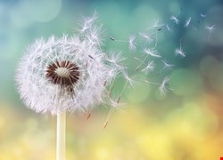 急診部主任陳維恭 怛心台灣急診醫師出走新加坡 